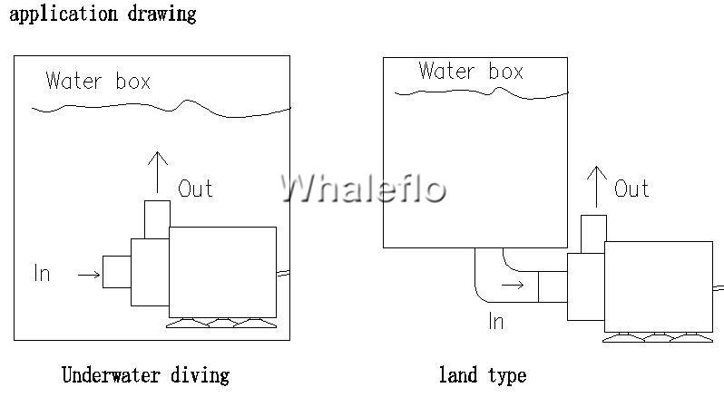 Whaleflo DC Mikro Pompa Uygulama Çizimi
