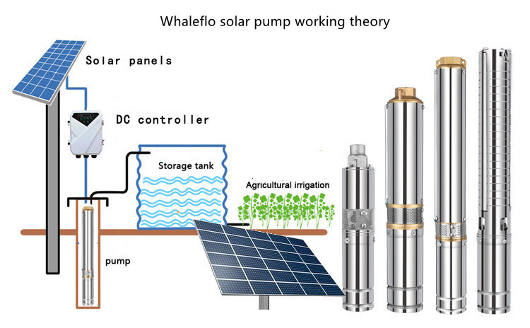 MPPT denetleyicili Whaleflo Yeni Güneş Enerjisi Pompası
