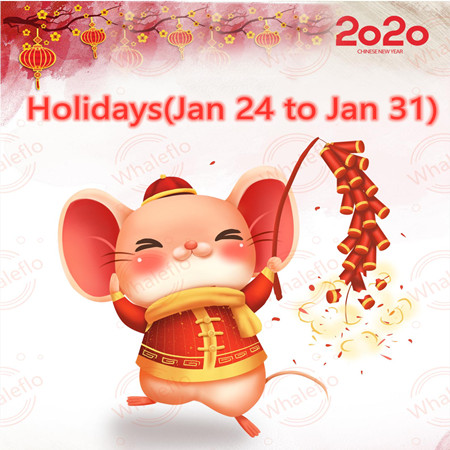 2020 Whaleflo Ay Yeni Yılı Tatilleri (2020.01-24-2020-01-31)
